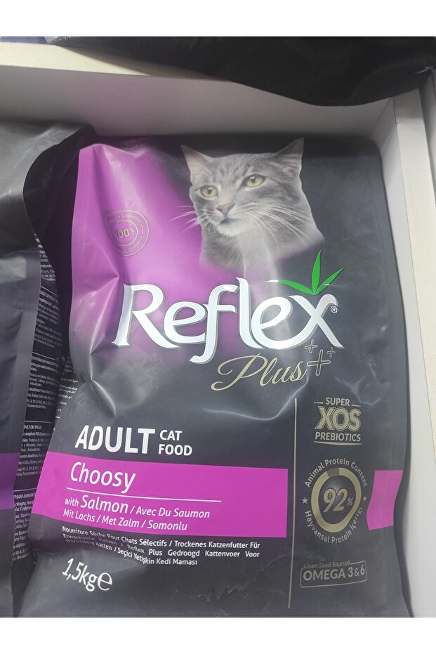 Kedi kuru mama