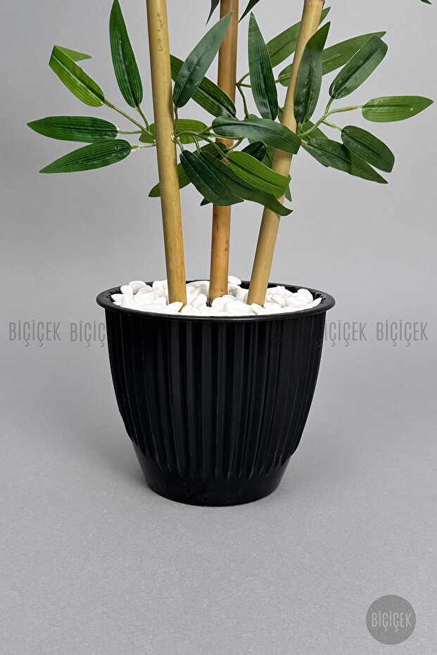 BAMBU AĞACI 110 CM 3 GÖVDELİ - 5