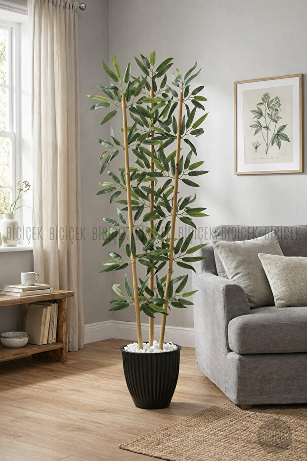 BAMBU AĞACI 110 CM 3 GÖVDELİ - 8