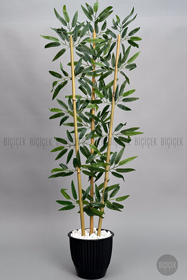 BAMBU AĞACI 110 CM 3 GÖVDELİ - 4
