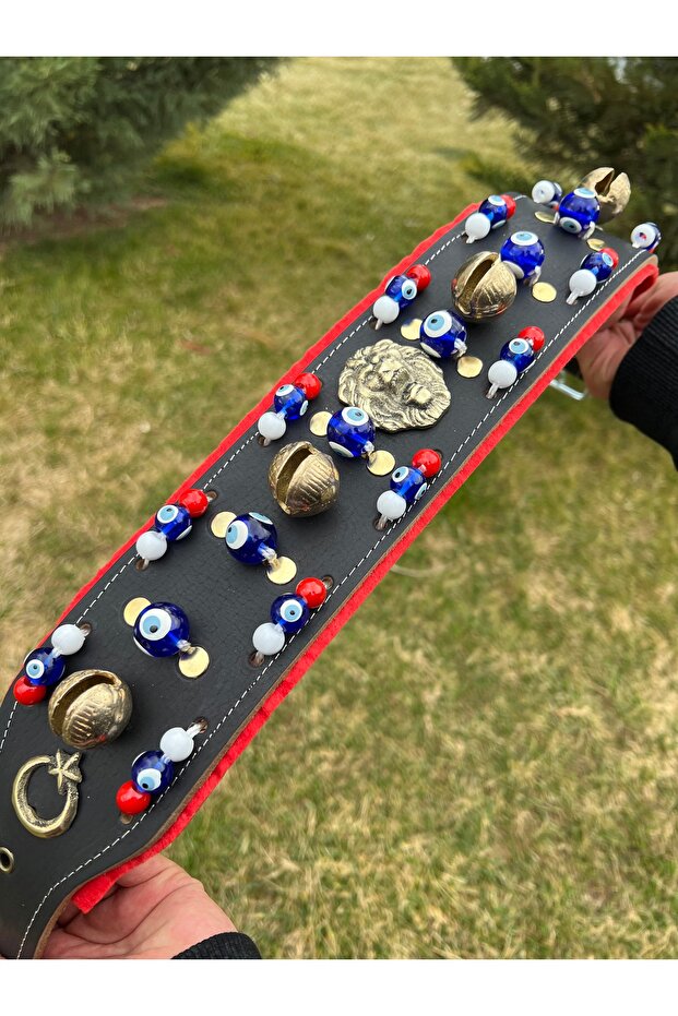 Wide Kangal Dog Collar Genuine Leather with 4 Bells