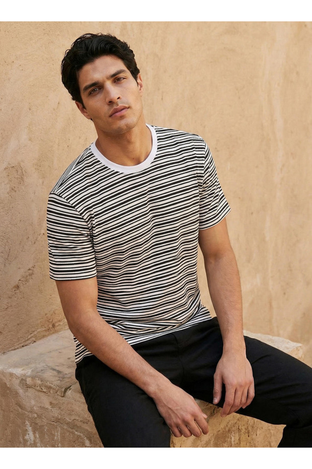 Men Regular Fit Crew Neck Short Sleeves Striped T-shirt