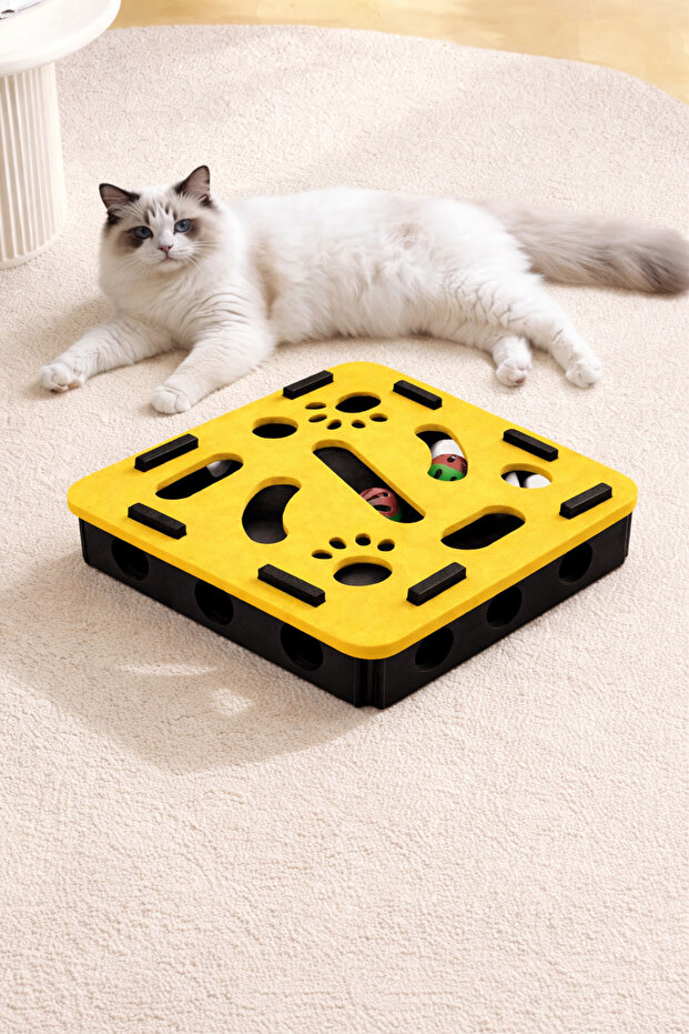 Patismart Interactive Cat Toy Maze Game Kitten Ball with Puzzle Box for Cats