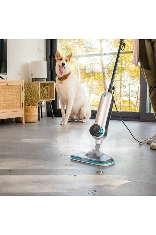 HydroSteam 3030 Active Mop - 3