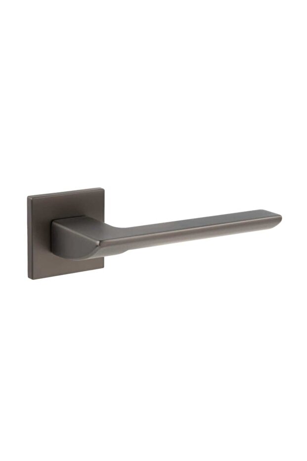 ELECTRA Interior Door Handle with Key Rosettes - 2