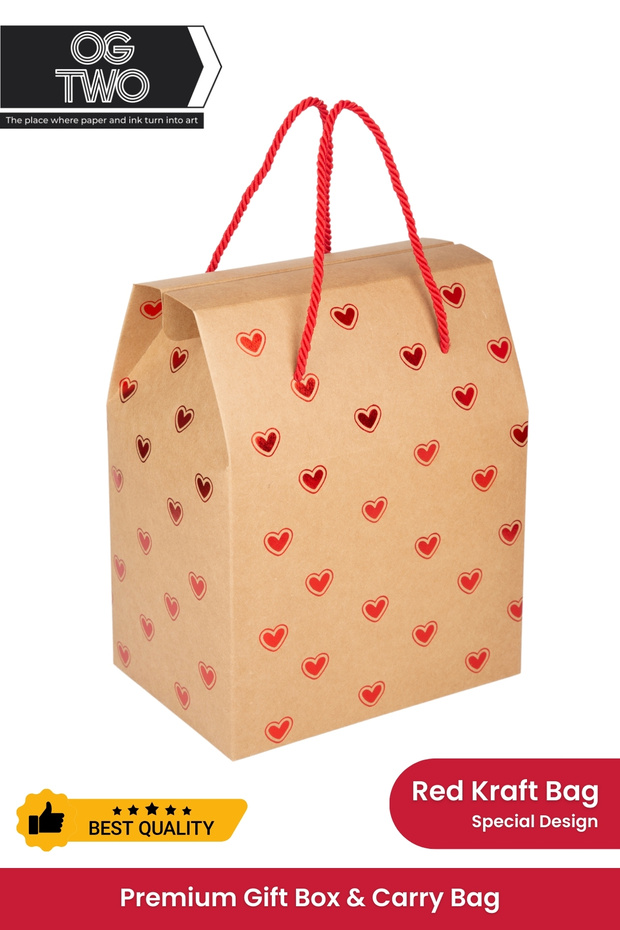 Premium Custom Design Large Size Gift Package Special Empty Cardboard Bag Gift Box for Special Occasions