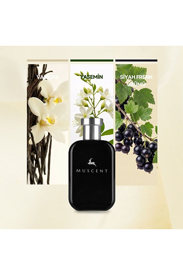 F353 DnnaBrnRma 50 ml. - 1