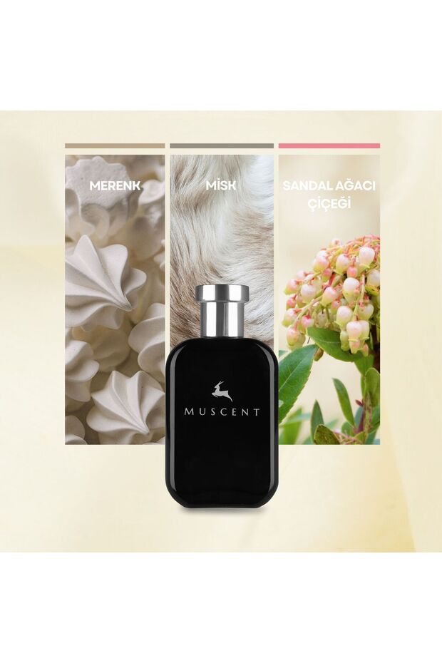 F366 TCrem Cloud 50 ml. - 1