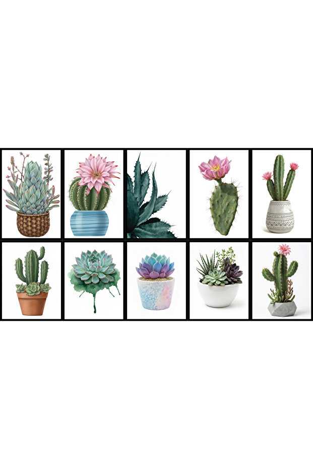 Table with Static Electricity Feature - Poster Cactus Flower (Model -7) - 2