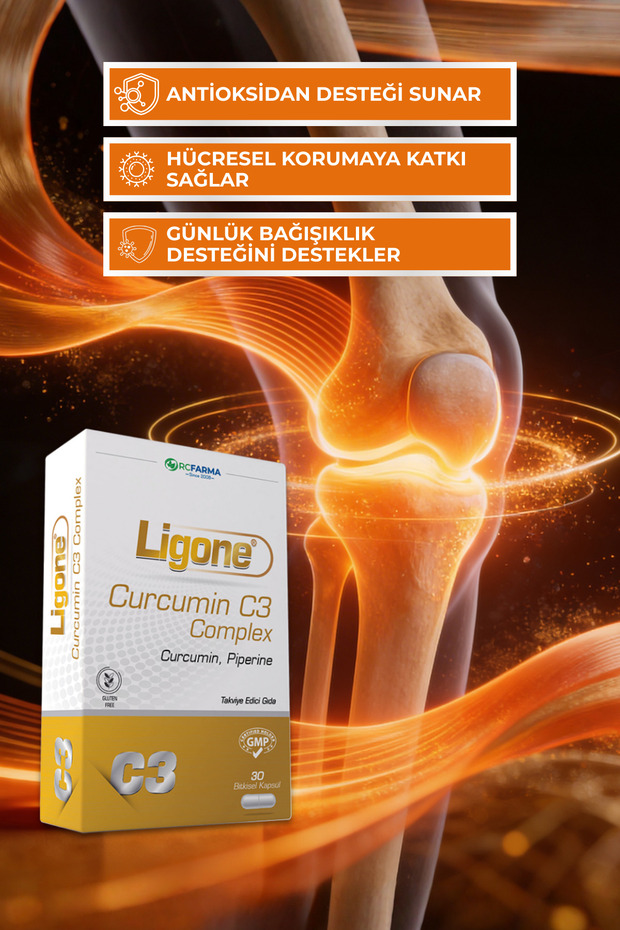 Curcumin C3 Complex 30 Kapsül - 4