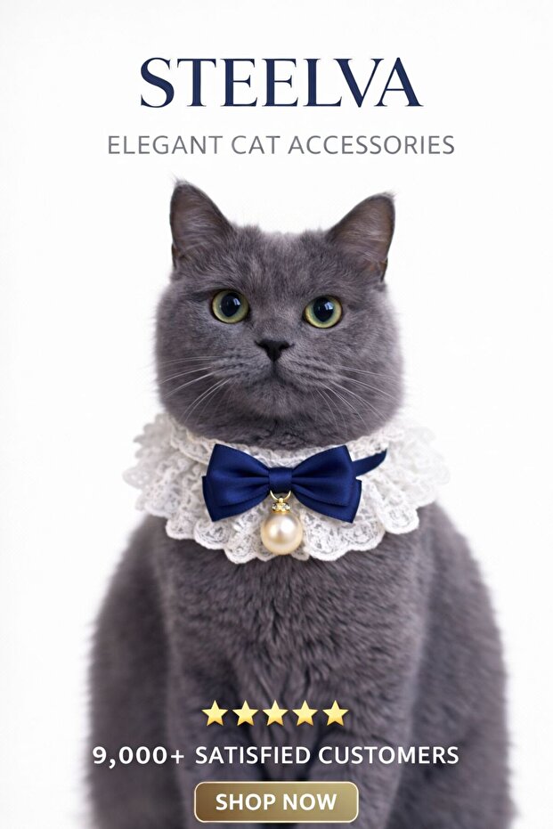 Cat Outfit with Bow and Pearl (Necklace, Bandana)