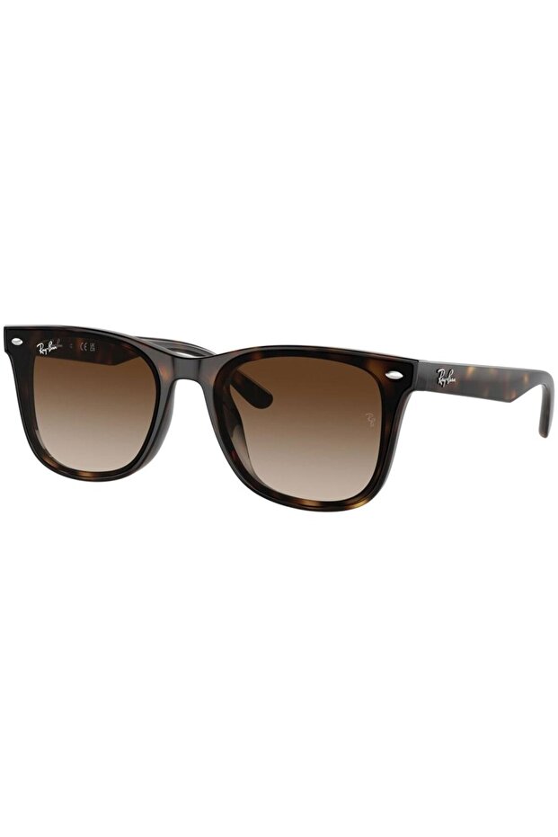 RAYBAN RB4420 71013 65 UNISEX GÜNEŞ GÖZLÜĞÜ - 2