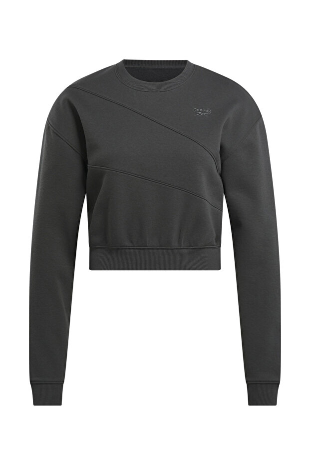 AE VECTOR LAYER Antrasit Kadın Sweatshirt - 1