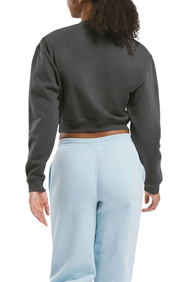 AE VECTOR LAYER Antrasit Kadın Sweatshirt - 4