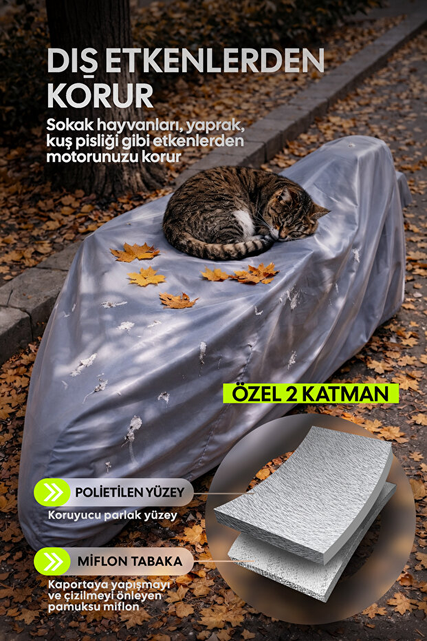 مونديال 100 SFC اتوماتيك - 3