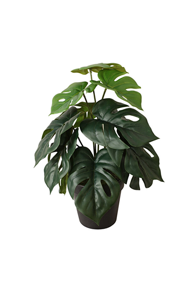 Yapay Bitki Monstera - 1