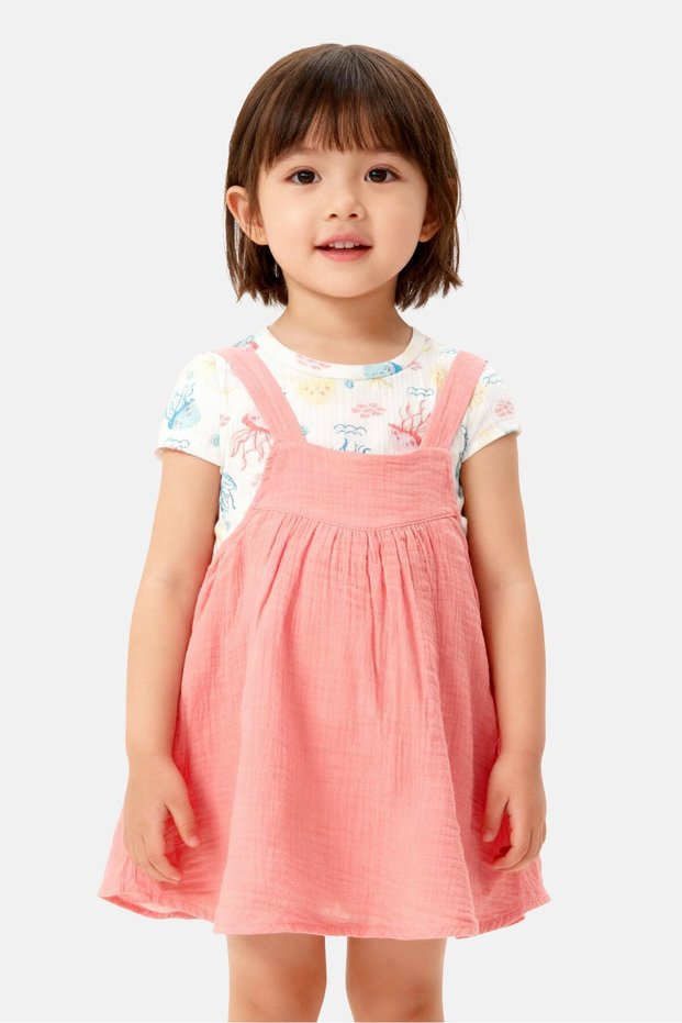 Toddlers Girl 2 Pcs Pleated Dress And Top Set, Multicolor