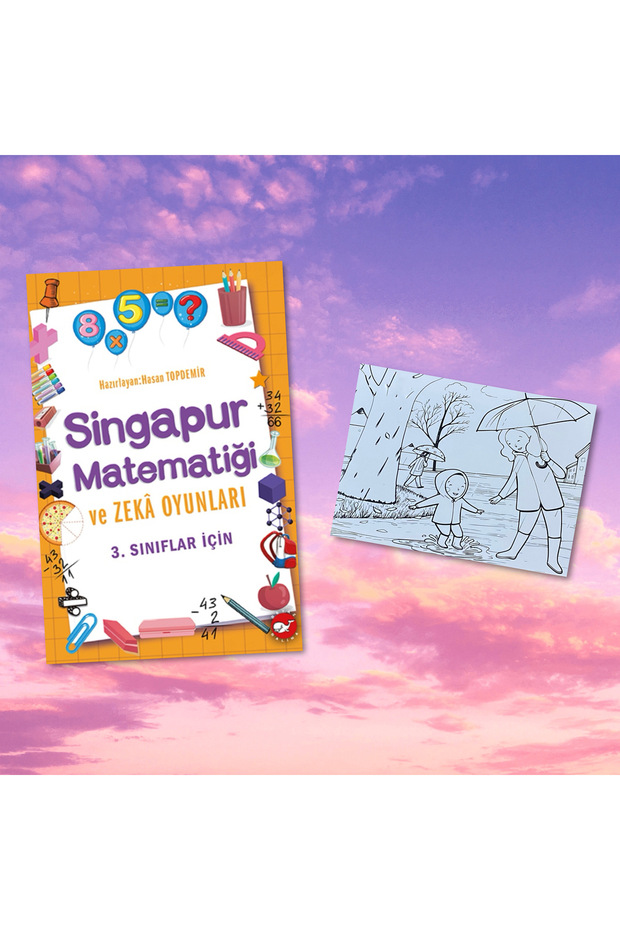 SİNGAPUR MATEMATİĞİ VE ZEKA OYUNLARI 3. SINIF / Postcard Painting Gift