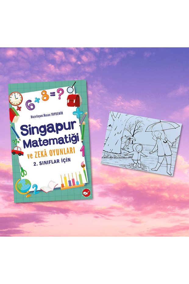 SİNGAPUR MATEMATİĞİ VE ZEKA OYUNLARI 2. SINIF / Postcard Painting Gift