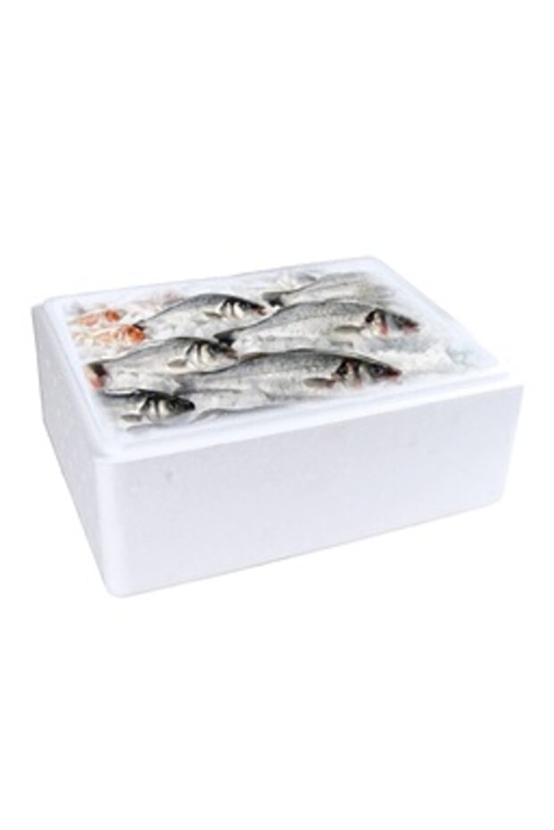 Ice Box Thermocol - 7