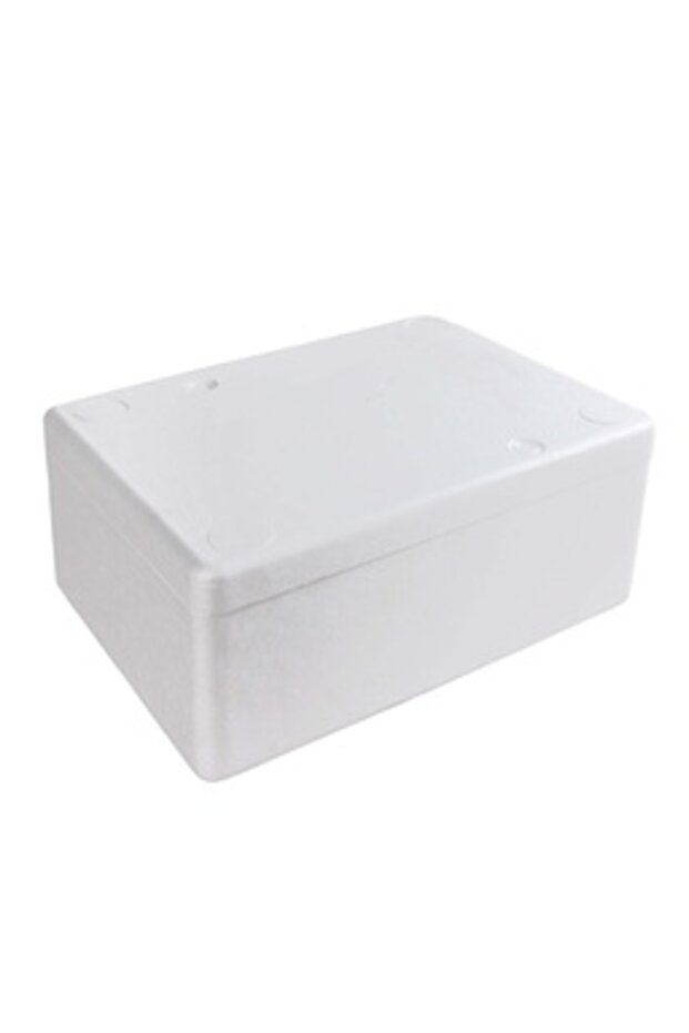 Ice Box Thermocol - 6