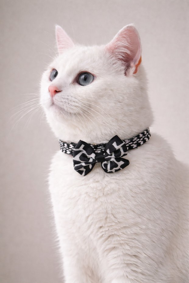 Black and White Rubber Striped Bow Tie Cat Dog Leash 33cm