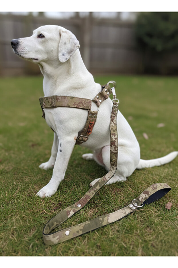 Dog Chest Harness Adjustable and Leash Set of 2 Medium and Large Breed Camouflage