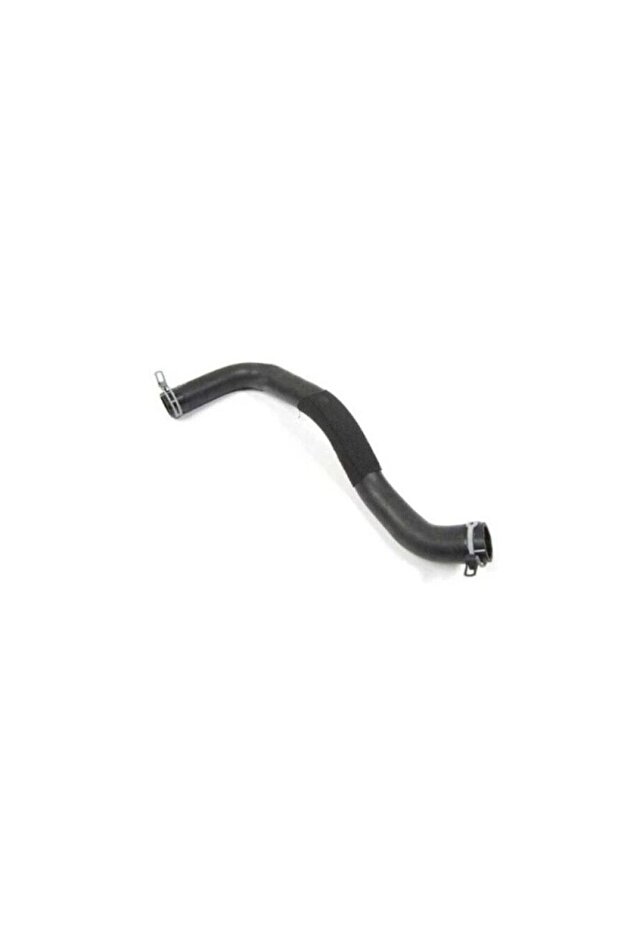 Radiator hose above Range Rover