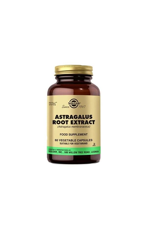 Astragalus Root 60 Capsules - 1