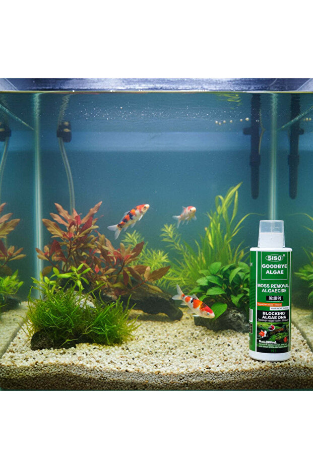 منظف ​​وداعاً للطحالب K1 - 2