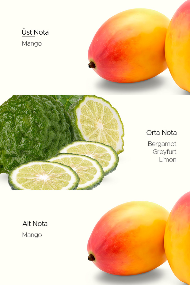 Mango Twist (Mango) Refill Oda Kokusu 100 ml - 2