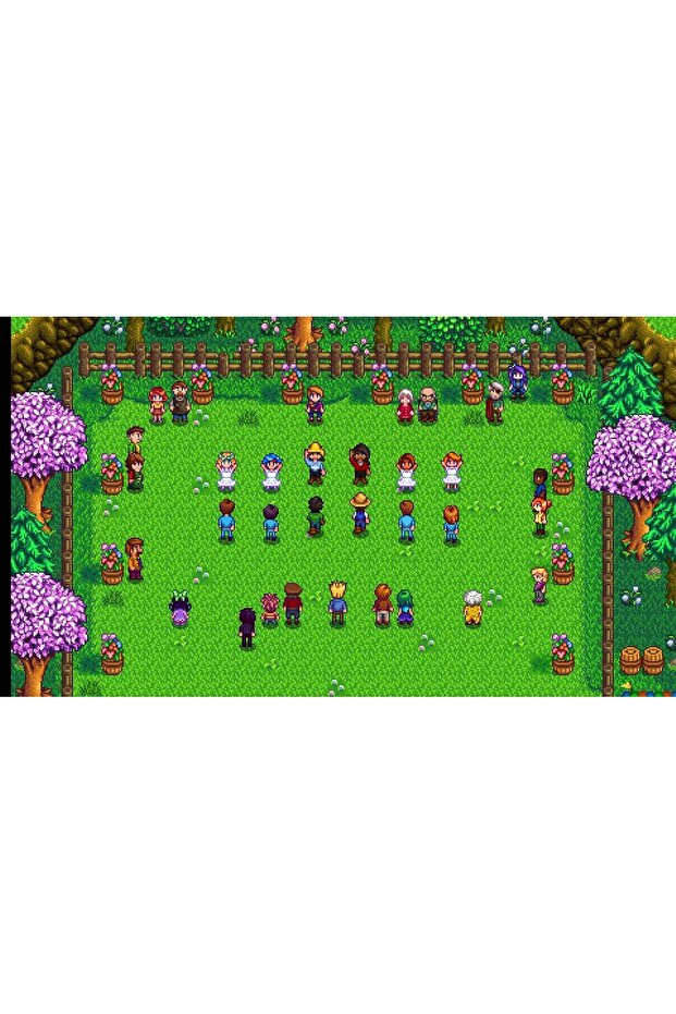 ستاردو فالي - نينتندو سويتش - 5