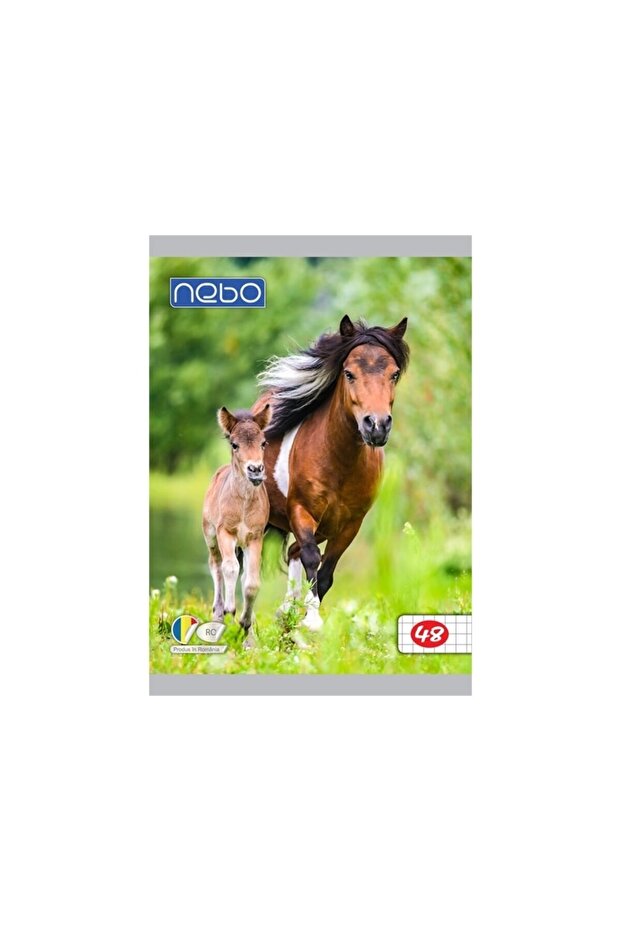 Notebook A5 48 AR Sheets - 2