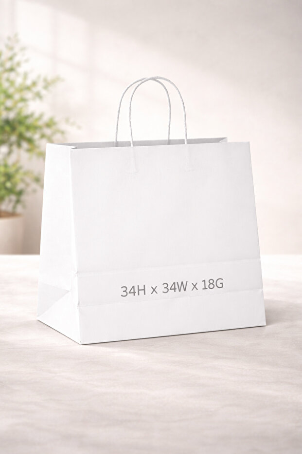 Paper Bag White Twisted Handle 34H x 34W x 18G – 100 GSM – 250 Bags