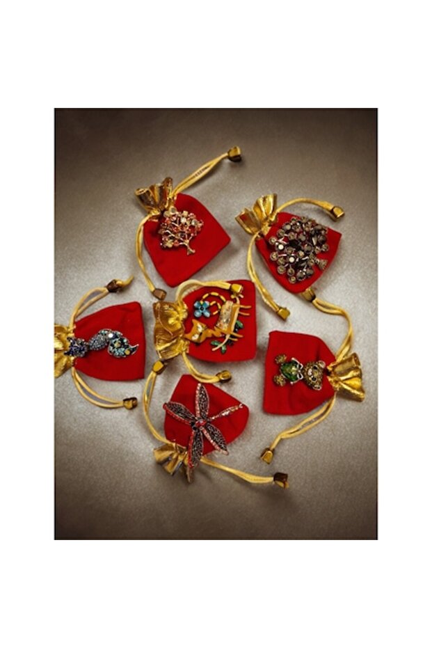 Set de 5 broșe de lux - 1