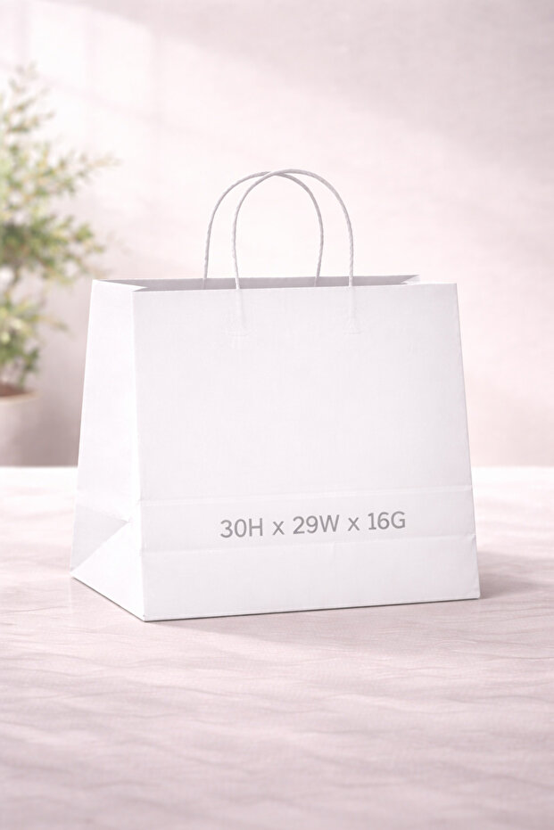 Paper Bag Black Twisted Handle -Medium (34H x 34W x 18G) – 80 GSM – 250 Bags