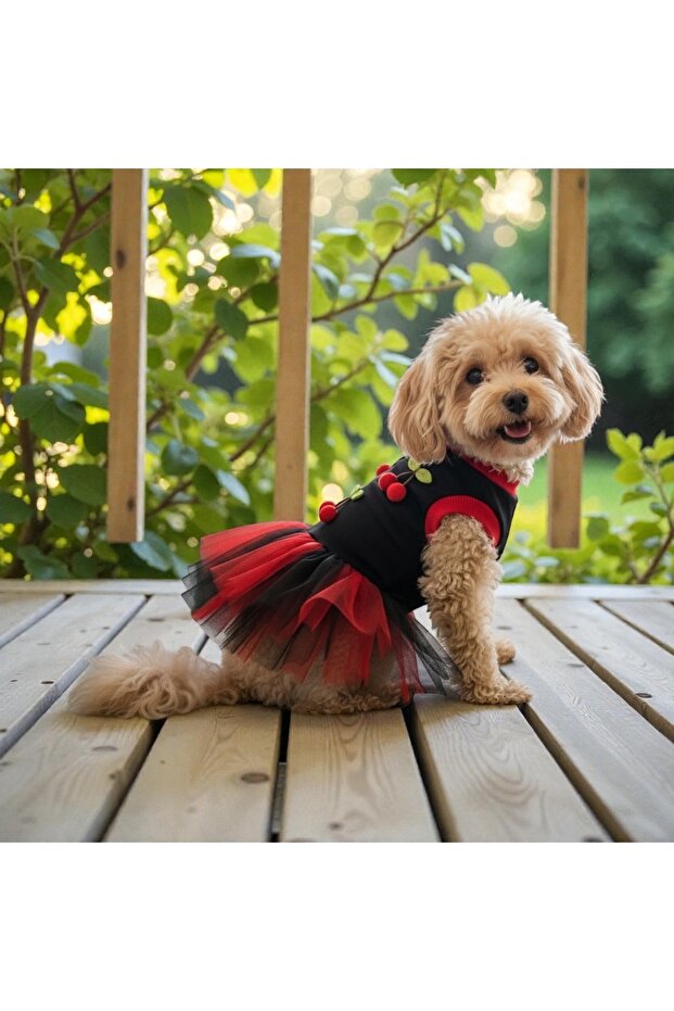 Cat Dog Cherry Tutu Dress