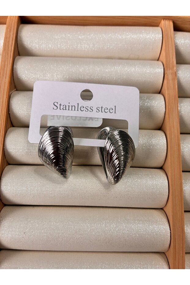 Mussel Model Steel Earrings