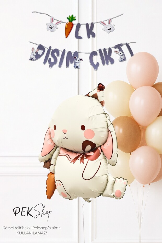 Wheat Party Decoration Set with Carrots, Rabbit, Balloons and Banner 259
