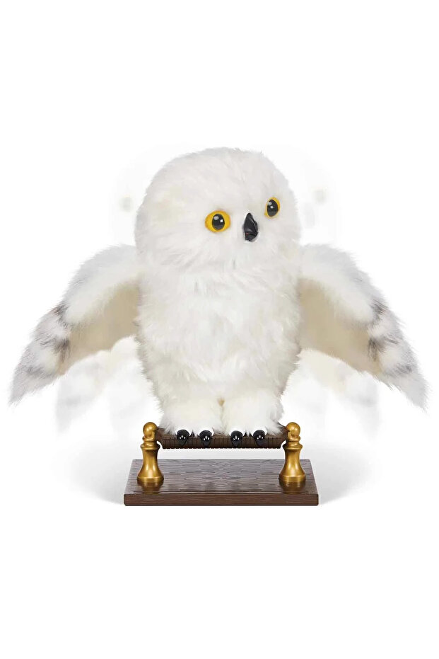 هاري بوتر الساحر هيدويج - 2