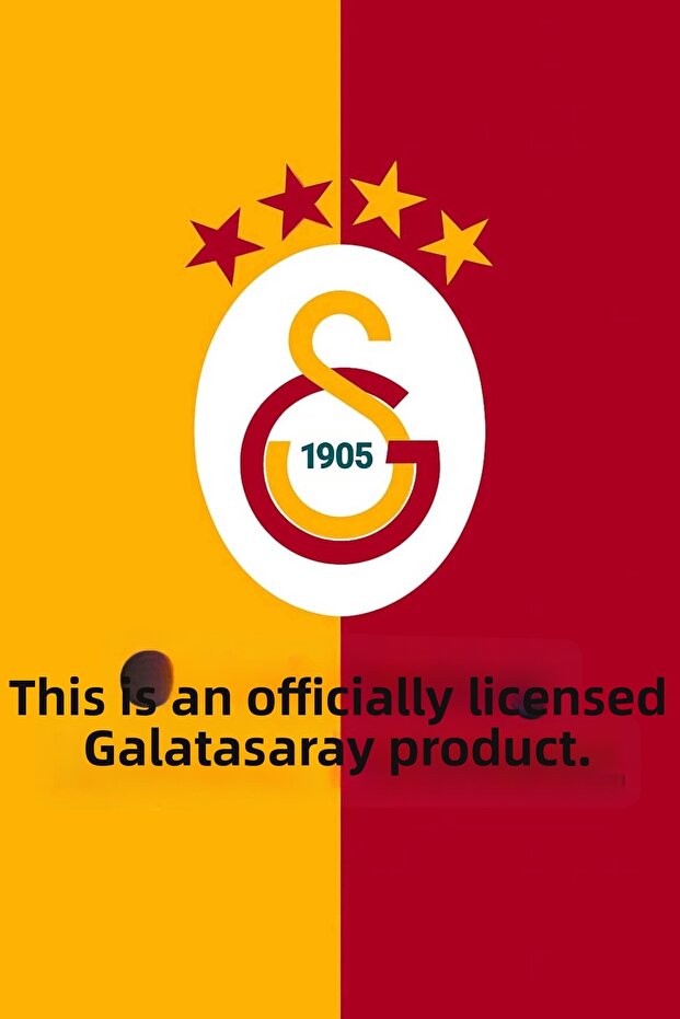 حقيبة ظهر مدرسية مرخصة 25556 - 4