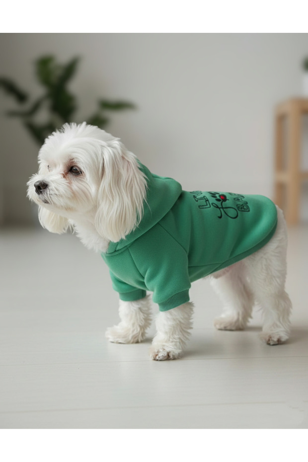 Patlı Sweatshırt - 2