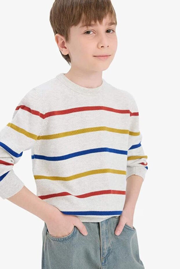 Striped Crew Neck Knitwear Sweater for Boys F3742A825Wn