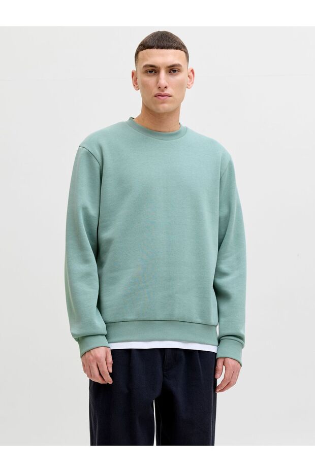 Sweatshirt mit Rundhalsausschnitt