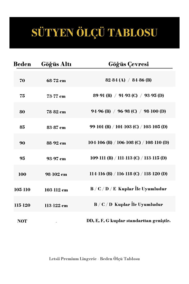 Supported Basic Bra Black Color - 2