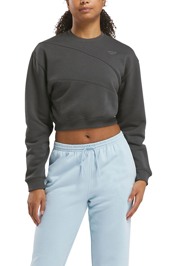 AE VECTOR LAYER Antrasit Kadın Sweatshirt - 2