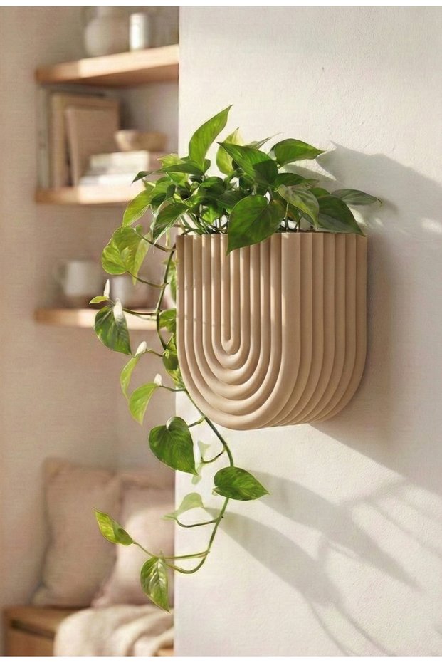 Wave Duvar Saksısı