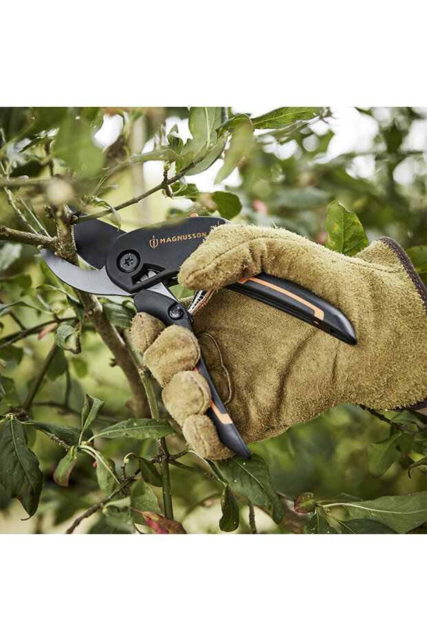 Threaded Age Twig Shears - 6