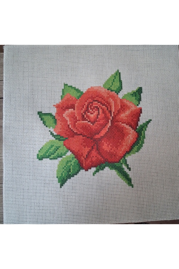Printed Cross Stitch