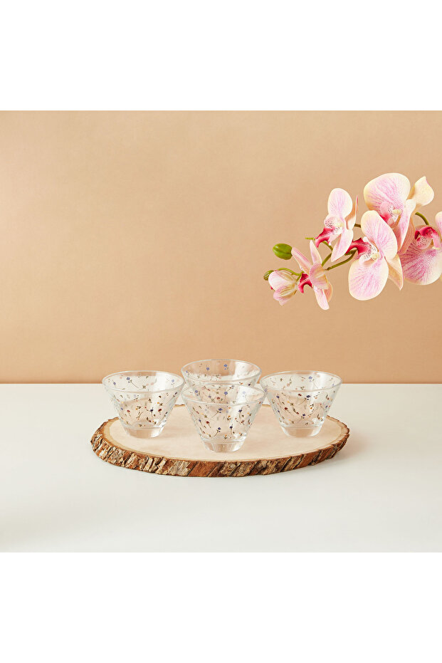 4-Piece Glass Bowl Set